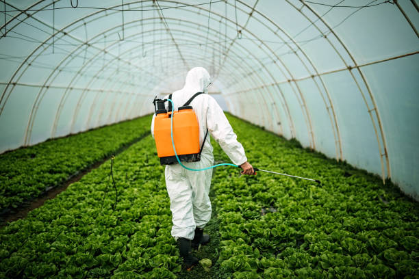 Best Pest Removal Services  in Jackson, MI