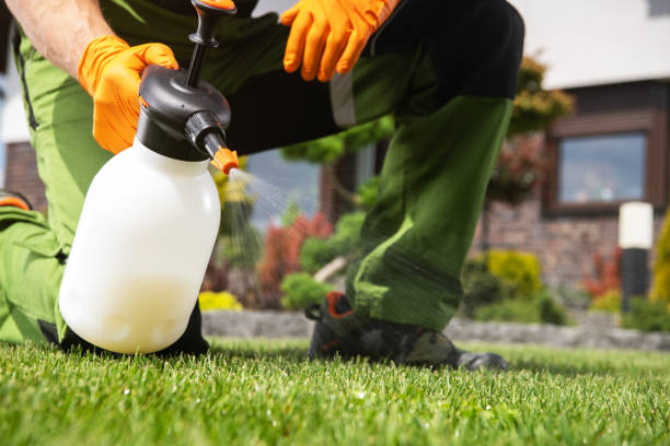 Best Pest Prevention Services  in Jackson, MI