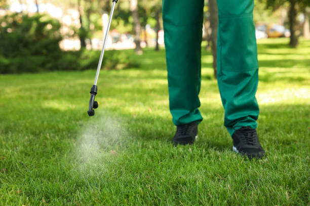 Best Ant Control Services  in Jackson, MI