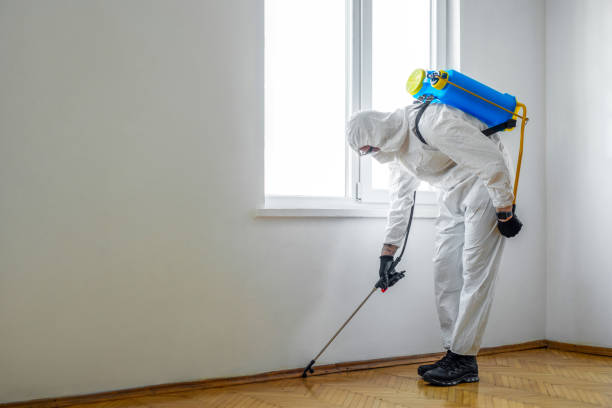 Professional Pest Control in Jackson, MI