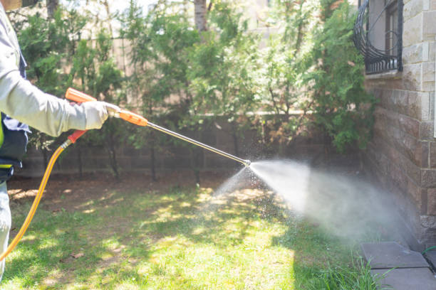 Best Termite Control Services  in Jackson, MI