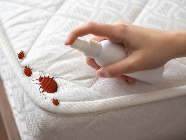 Best Insect Control  in Jackson, MI