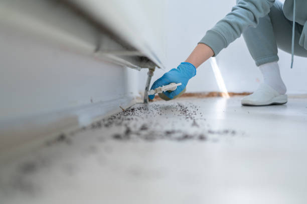 Best Pest Control Treatment  in Jackson, MI